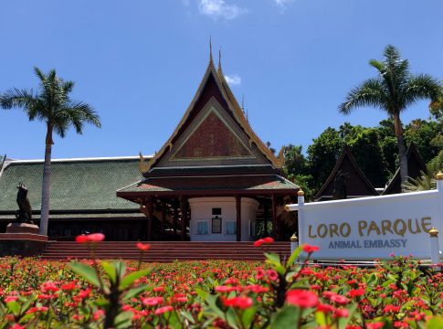 Loro Parque reunirá a los mayores expertos en conservación del mundo