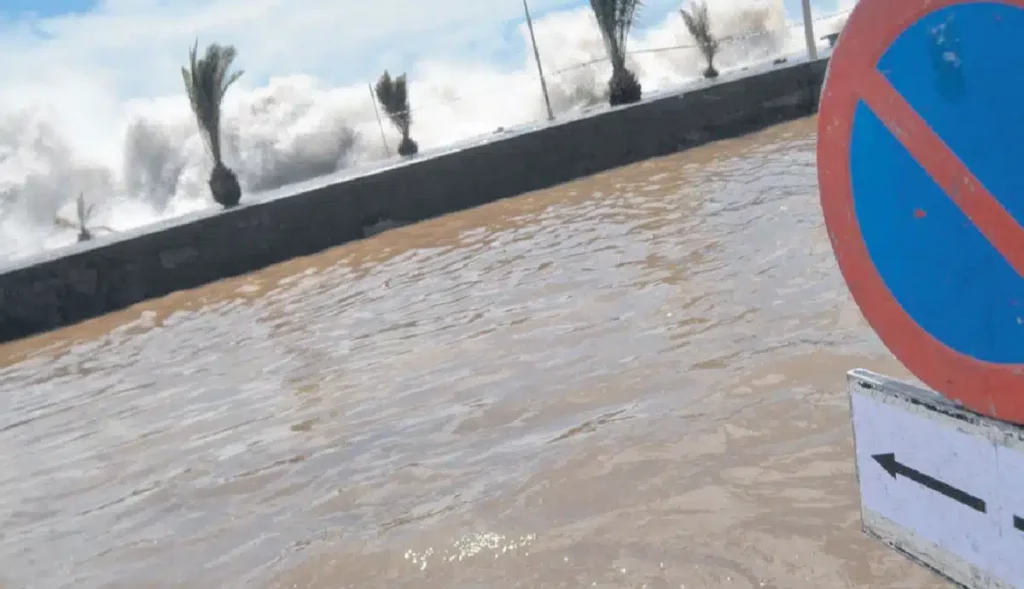 Esta es la década de la toma de decisiones: Canarias perderá su ‘eterna primavera’