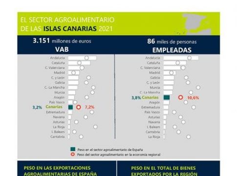 <strong>Canarias aporta el 64,6 % de la fruta tropical producida en España y el 29,1 % de la Unión Europea </strong>