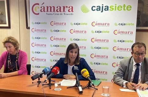 <strong>El comercio registra buenos resultados, pero adolece de medidas fiscales para mantener su actividad</strong>