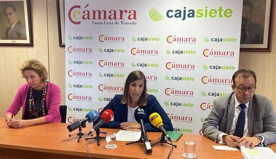<strong>El comercio registra buenos resultados, pero adolece de medidas fiscales para mantener su actividad</strong>