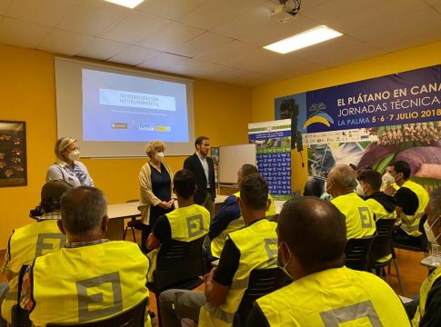 El Cabildo moviliza más de 1,6 millones de euros del Fdcan para estimular el empleo en La Palma