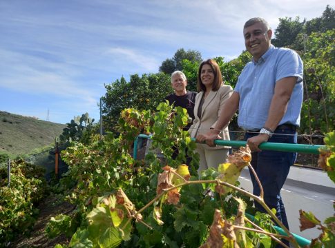 Telde felicita a la bodega Señorío de Cabrera por la inclusión de tres de sus vinos entre los mejores de España