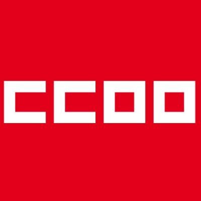 <strong>Comisiones Obreras insiste en que el gobierno canario debe acelerar el proceso de acreditación de competencias profesionales</strong>