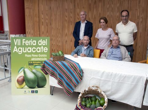 El aguacate de Mogán celebra su séptima feria este domingo