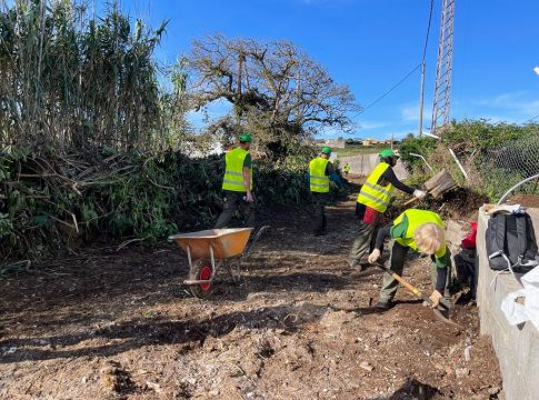 a Laguna limpia decenas de barrancos para reducir los riesgos por lluvias e incendios y eliminar basura y especies invasoras
