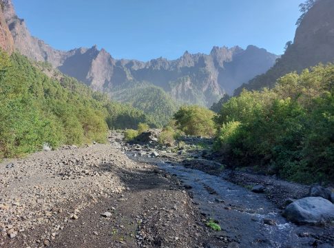 Transición Ecológica invierte 400.000 euros para el control de exóticas invasoras en la Caldera de Taburiente