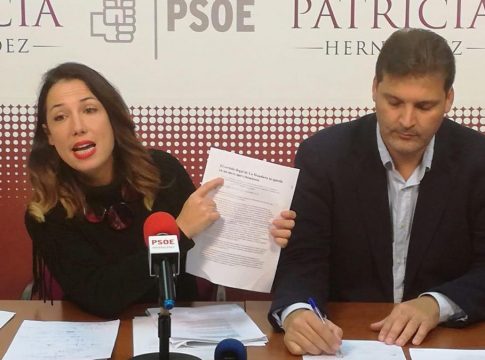 El PSOE rechaza los insultos del alcalde de Santa Cruz de Tenerife y de CC hacia el sector cultural tras el fiasco del Museo Rodin