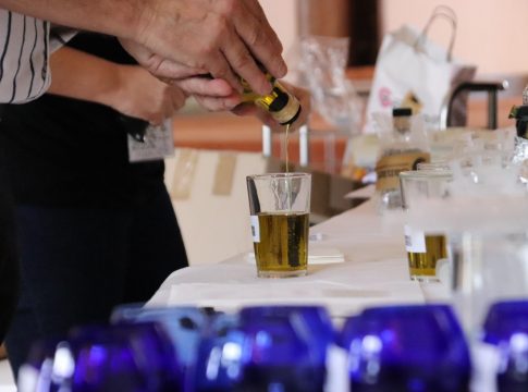 El Gobierno canario convoca la séptima edición del Concurso de Aceite de Oliva Virgen Extra Agrocanarias 2023