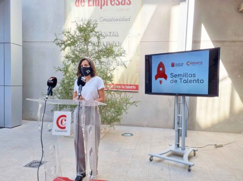 <strong>Última llamada para presentar proyectos al programa Semillas de Talento: una beca para hacer realidad proyectos empresariales  </strong>