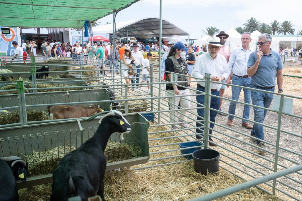 El primer 'Tenderete del baifo' pone el broche final a la campaña auspiciada por el Cabildo de Gran Canaria para fomentar el consumo de carne de cabra