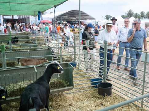 El primer 'Tenderete del baifo' pone el broche final a la campaña auspiciada por el Cabildo de Gran Canaria para fomentar el consumo de carne de cabra