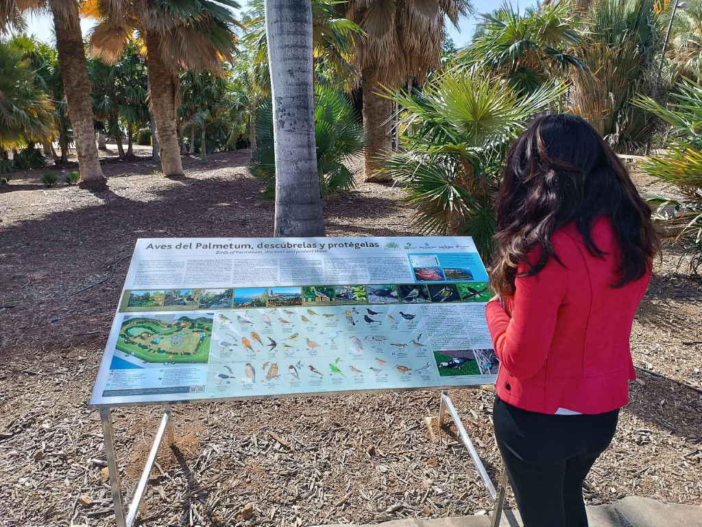 <strong>Fundación Cepsa <a>colabora con el Palmetum de Tenerife en la actualización de los materiales de divulgación sobre aves</a></strong>