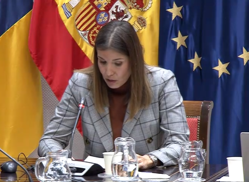 <strong>La vicepresidenta de la Cámara explica en el Parlamento los problemas que está generando la franquicia fiscal</strong>