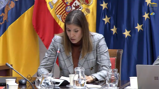 <strong>La vicepresidenta de la Cámara explica en el Parlamento los problemas que está generando la franquicia fiscal</strong>