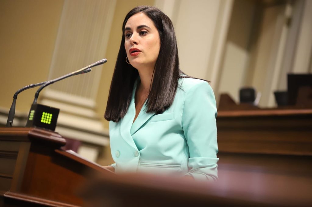 Vidina Espino insiste en que todos los canarios deben conocer qué pasó con las compras que el Gobierno realizó durante la pandemia