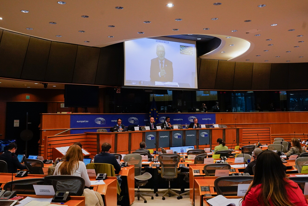 Torres plantea en Europa una política migratoria eficaz, segura y humanitaria y máximas garantías de conectividad 