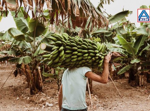 <strong>ALDI visibiliza las prácticas del cultivo del plátano de Canarias como referencia en sostenibilidad</strong>