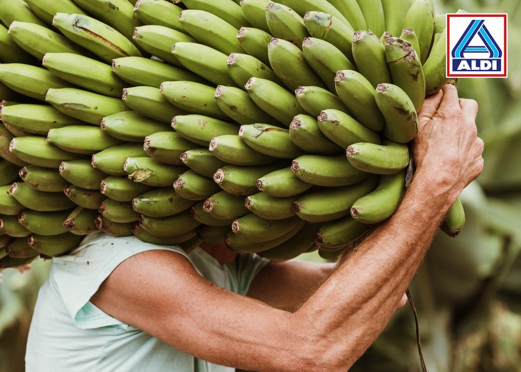 ALDI compra más de 3.700 toneladas de plátano de Canarias a productores de las Islas en 2022
