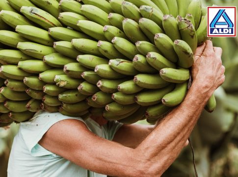 ALDI compra más de 3.700 toneladas de plátano de Canarias a productores de las Islas en 2022