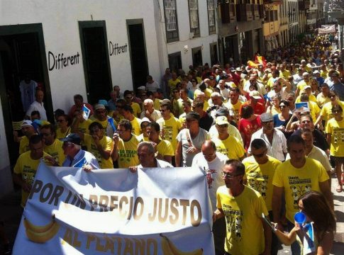 Los plataneros de La Palma denuncian su “agonía” económica con la “complicidad” de organizaciones agrarias, y retan a Vanoostende a un foro abierto sobre esta grave situación