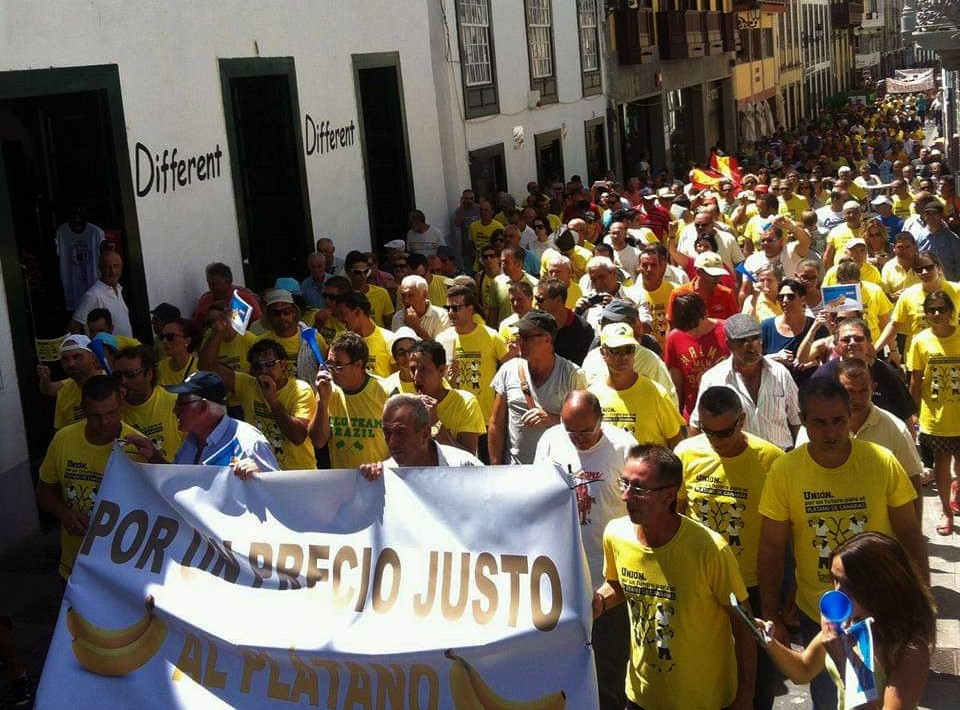 Los plataneros de La Palma denuncian su “agonía” económica con la “complicidad” de organizaciones agrarias, y retan a Vanoostende a un foro abierto sobre esta grave situación