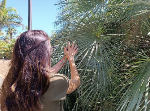 Fundación Cepsa colabora con el Ayuntamiento capitalino en el primer ciclo de visitas inclusivas al Palmetum de Santa Cruz