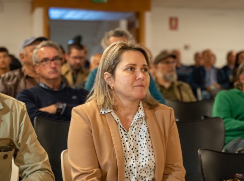 El Gobierno canario concede más de 26 millones de euros para impulsar la reconstrucción agrícola de La Palma 