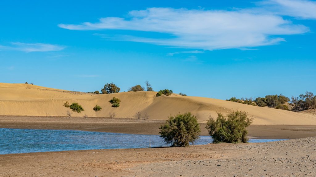 El Cabildo de Gran Canaria consigue 5,5 millones de euros de la Unión Europea para la recuperación y resiliencia de Maspalomas