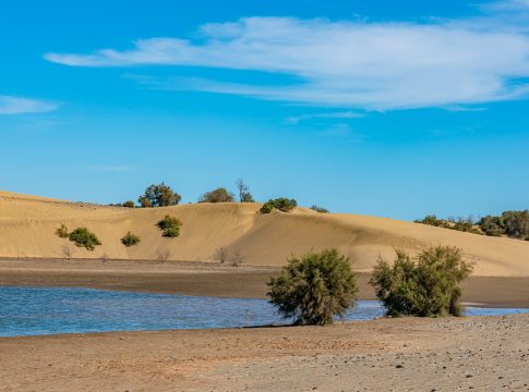 El Cabildo de Gran Canaria consigue 5,5 millones de euros de la Unión Europea para la recuperación y resiliencia de Maspalomas