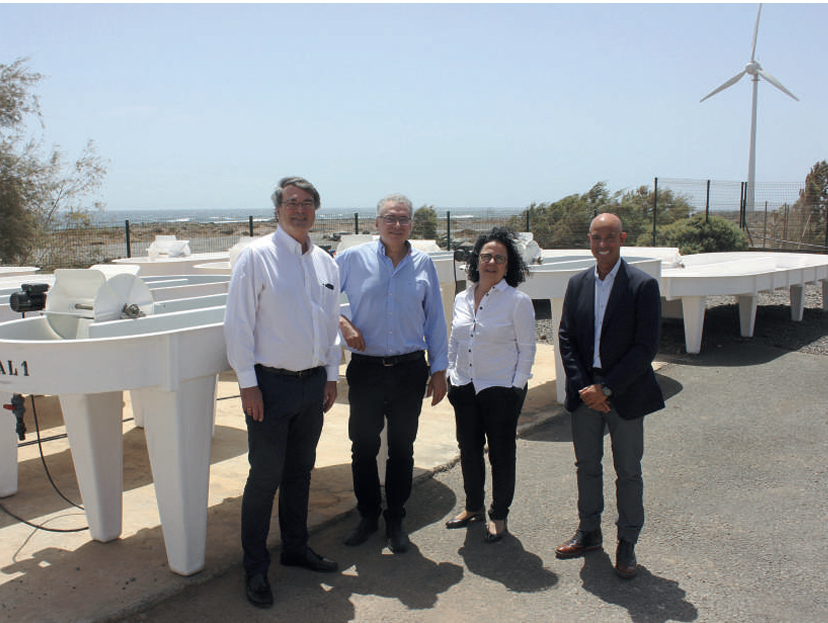 Cepsa y el Instituto Tecnológico de Canarias, unidos para el desarrollo de biocombustibles a partir de microalgas