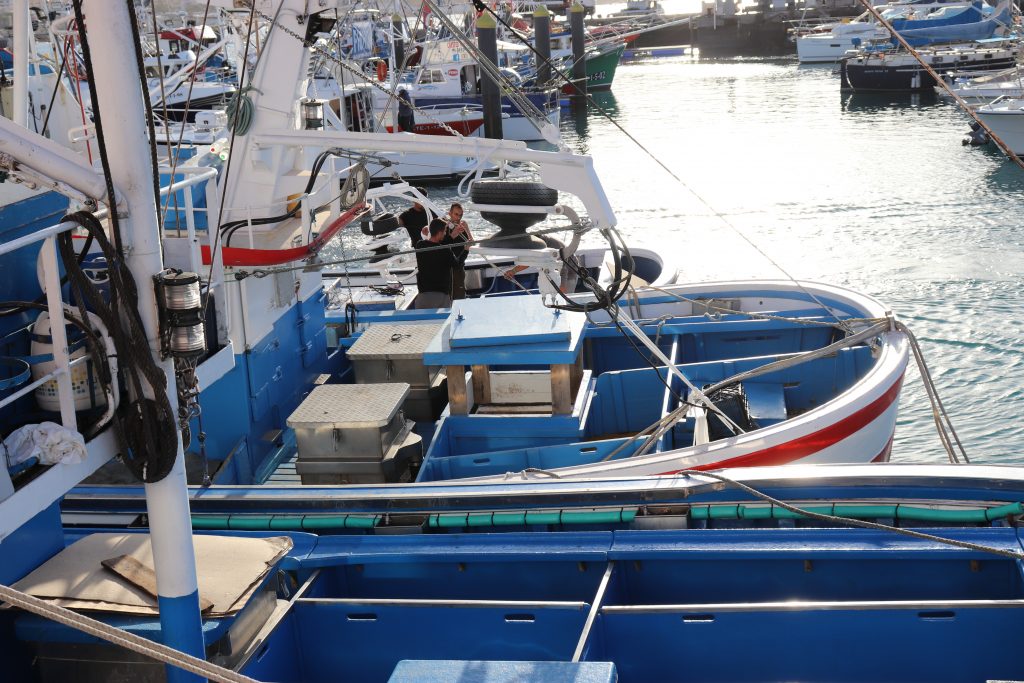 El Gobierno de Canarias destina 400.000 euros a la mejora del equipamiento de las cofradías de pescadores, sus federaciones y cooperativas del mar