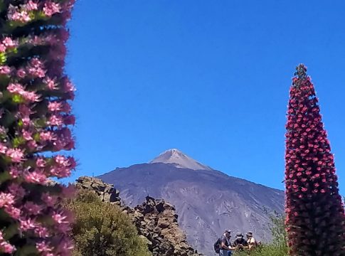 Un total de 55 senderistas participan de la cuarta ruta del programa "Patean2023" con la que disfrutaron del Parque Nacional del Teide