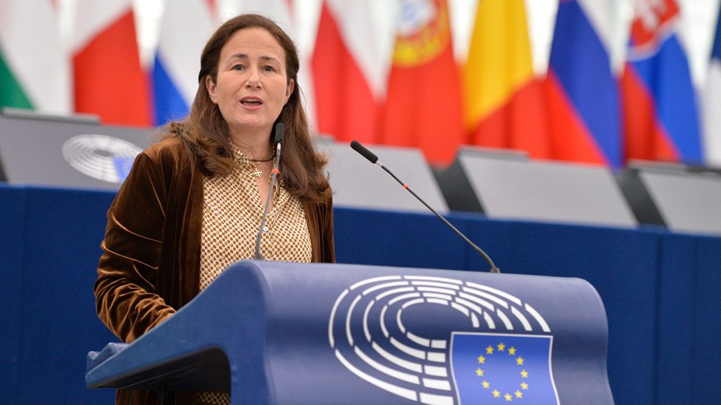 El Pleno del Parlamento Europeo aprueba una enmienda de VOX para apoyar la agricultura canaria