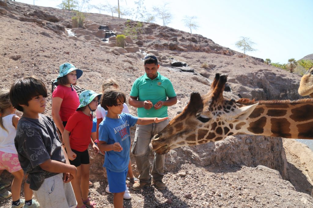  'Oasis Camp' acerca la naturaleza a los jóvenes con un enfoque basado en la diversión y el aprendizaje