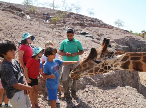  'Oasis Camp' acerca la naturaleza a los jóvenes con un enfoque basado en la diversión y el aprendizaje