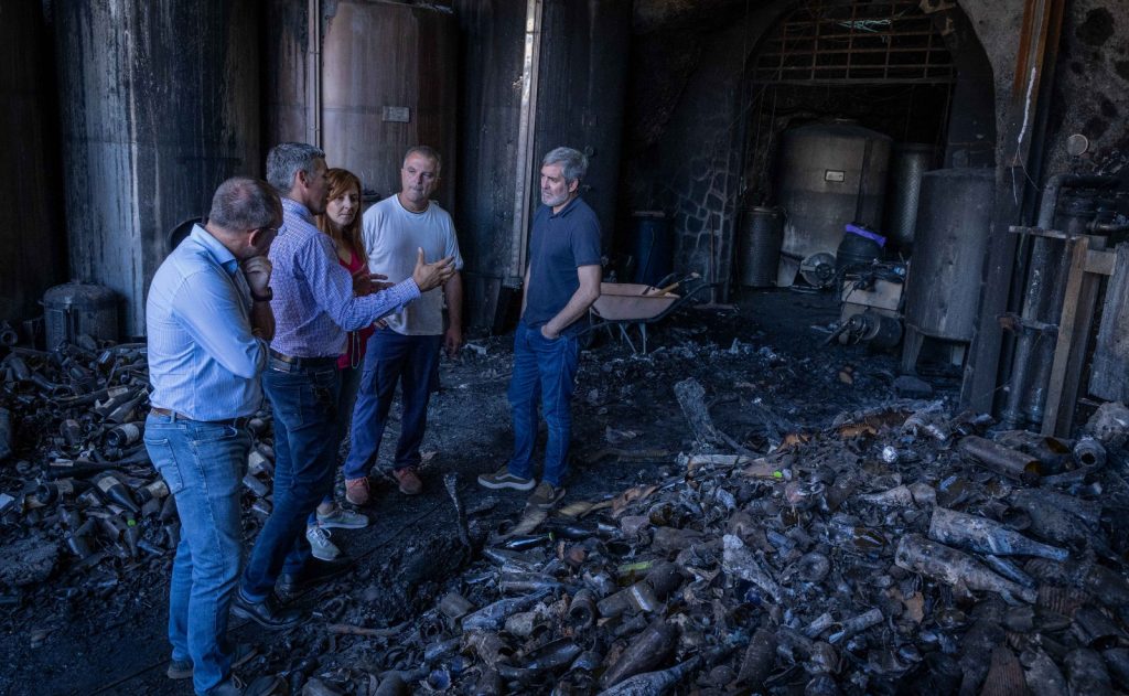 Gobierno, Cabildo y ayutamientos de Tijarafe y Puntagorda trabajan en un plan agrícola para prevenir incendios