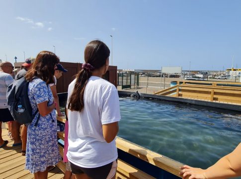 El Centro de Recuperación y Conservación de Tortugas Marinas de Fuerteventura recuerda su nuevo horario de apertura al público