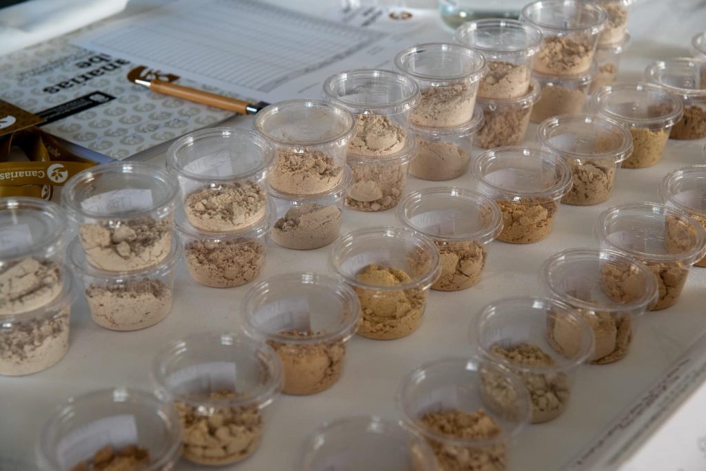 El mejor gofio de Canarias se elige en El Hierro entre 93 muestras de 18 molinos de las islas