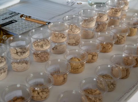 El mejor gofio de Canarias se elige en El Hierro entre 93 muestras de 18 molinos de las islas