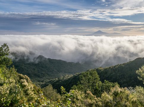 La Reserva de la Biosfera de La Gomera avala tres proyectos para su desarrollo en la isla 