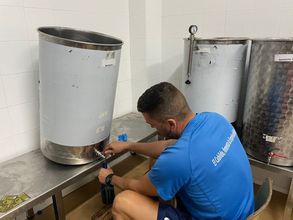 La almazara del Cabildo de Fuerteventura continúa molturando aceituna de la campaña de 2023
