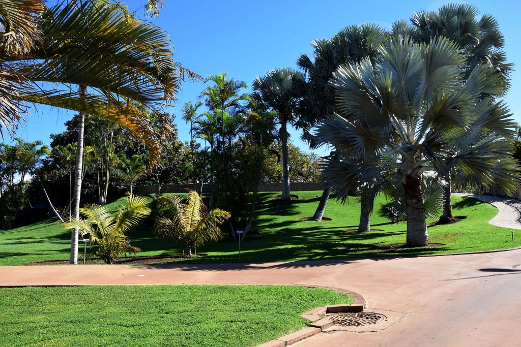 El Palmetum recibe por octavo año consecutivo el premio Traveler’s Choice