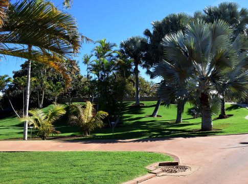 El Palmetum recibe por octavo año consecutivo el premio Traveler’s Choice