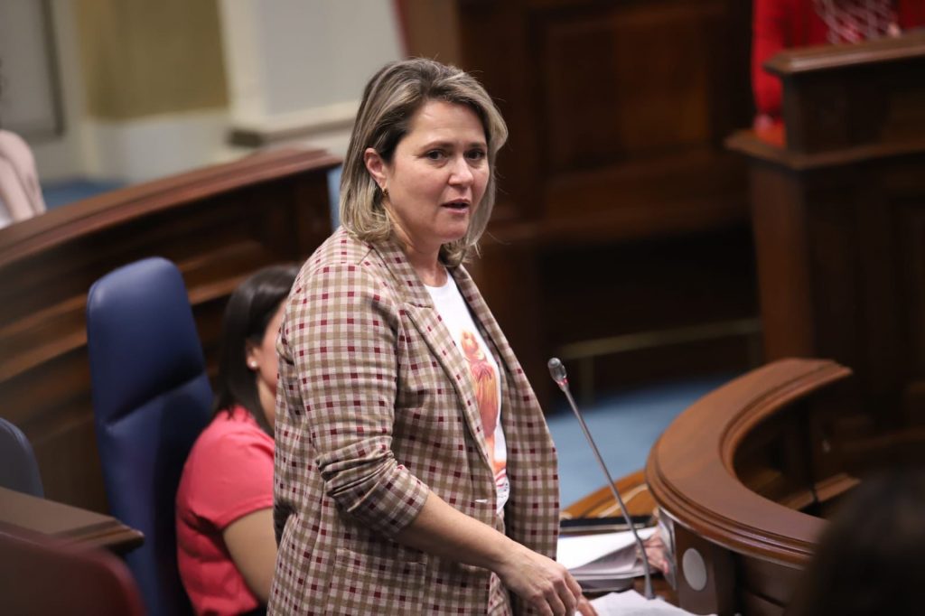 El PSOE solicita una estrategia de prevención y extinción de incendios forestales