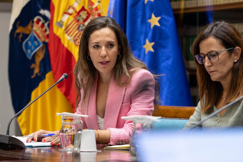 De León fija la reforma del marco normativo turístico  y la creación de empleo de calidad como principales retos de la legislatura