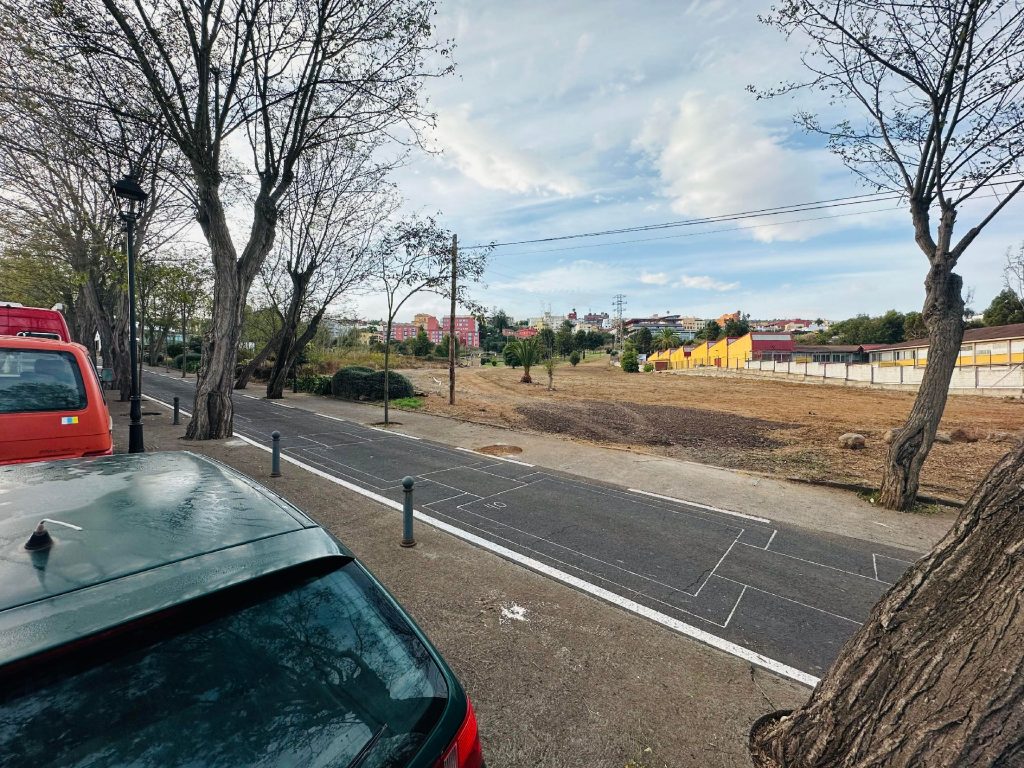 El Ayuntamiento desarrolla nuevas tareas de sustitución de acacias en la calle Teobaldo Power