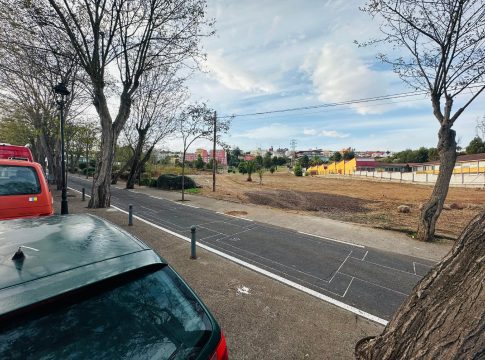 El Ayuntamiento desarrolla nuevas tareas de sustitución de acacias en la calle Teobaldo Power