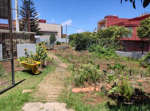 Asinelte facilitará la inclusión de menores con diversidad funcional