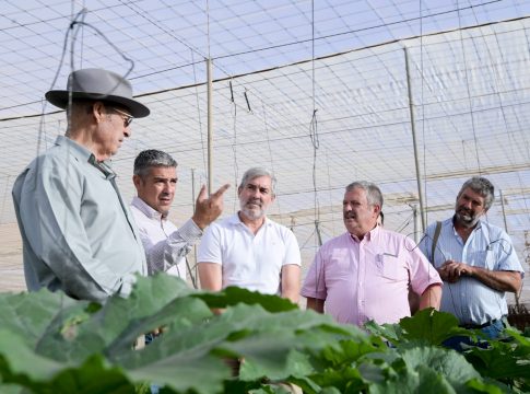 El Gobierno de Canarias apuesta por potenciar la producción local para reducir la dependencia del exterior